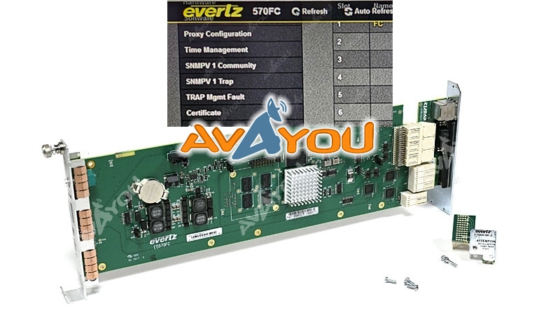 フェレMNTページ 027_m.jpg